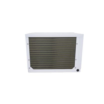 AC Tipo Ventana Modelo AS-09CM61R