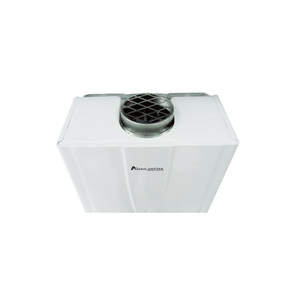 Calefón a Gas 20L Modelo: WH10Y1-BY